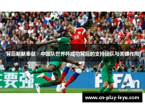 背后默默奉献:中国队世界杯成功背后的支持团队与关键作用