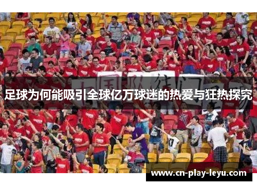 足球为何能吸引全球亿万球迷的热爱与狂热探究