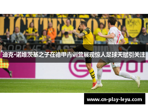 迪克·诺维茨基之子在德甲青训营展现惊人足球天赋引关注