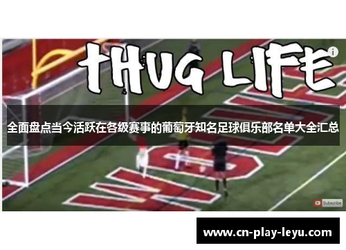 全面盘点当今活跃在各级赛事的葡萄牙知名足球俱乐部名单大全汇总