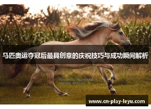马匹奥运夺冠后最具创意的庆祝技巧与成功瞬间解析