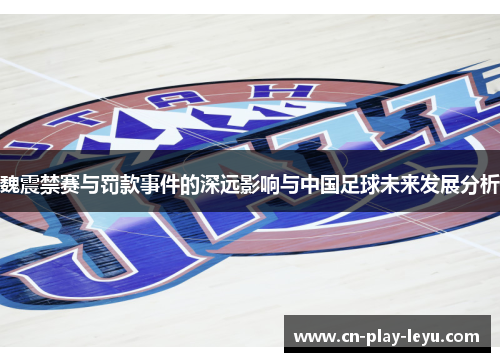 魏震禁赛与罚款事件的深远影响与中国足球未来发展分析