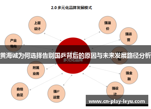 黄海诚为何选择告别国乒背后的原因与未来发展路径分析
