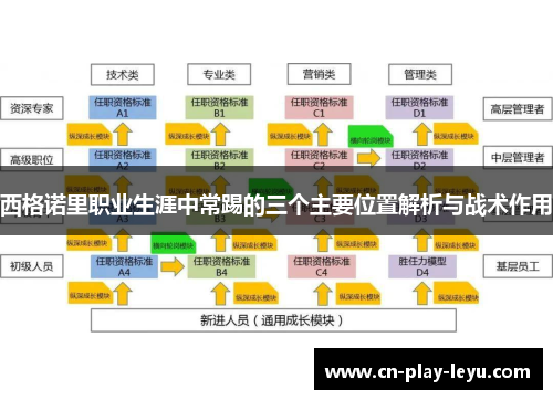 西格诺里职业生涯中常踢的三个主要位置解析与战术作用