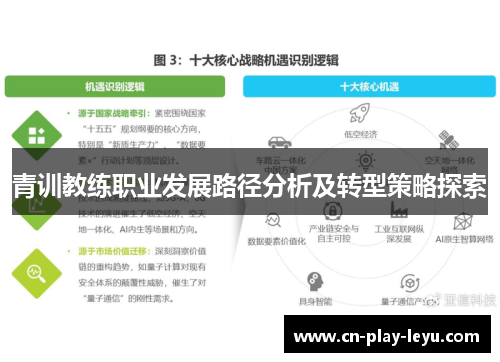 青训教练职业发展路径分析及转型策略探索 青训教练职业发展路径分析及转型策略探索
