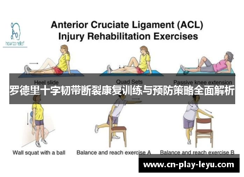 罗德里十字韧带断裂康复训练与预防策略全面解析 罗德里十字韧带断裂康复训练与预防策略全面解析