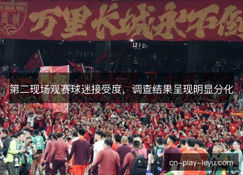 第二现场观赛球迷接受度，调查结果呈现明显分化